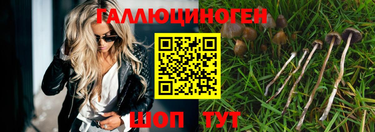 что такое   Вход с VPN  Галлюциногенные грибы GOLDEN TEACHER  Барабинск  Галлюциногенные грибы Magic Shrooms 