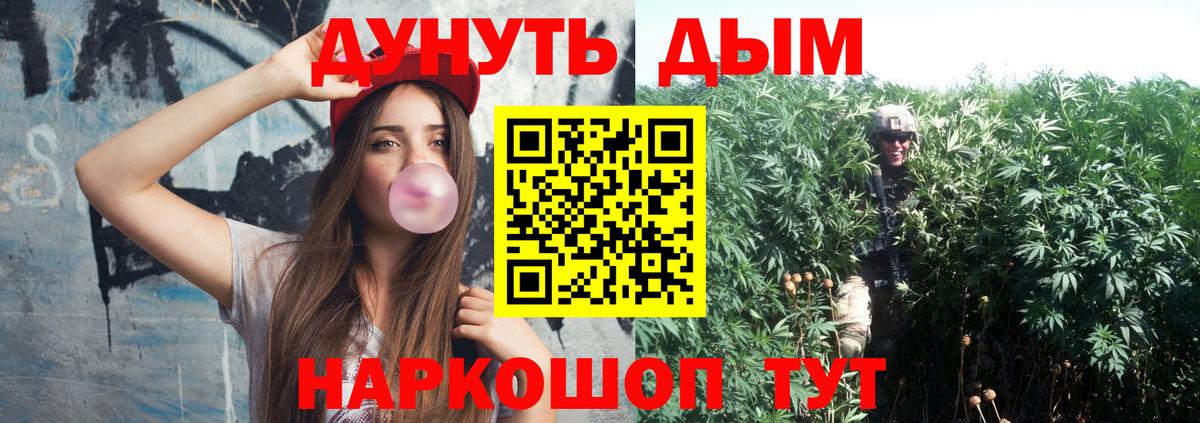 Каннабис сатива Барабинск